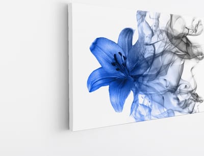 Saammp Canvas Schilderij - Blauwe bloem - Natuur - 30x20 - Foto op canvas - Wanddecoratie - Muurdecoratie Woonkamer - Kantoor Decoratie