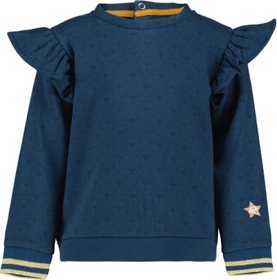 4PRESIDENT Sweater meisjes - Blue Wing Teal Aop - Maat 104 - Meisjes trui