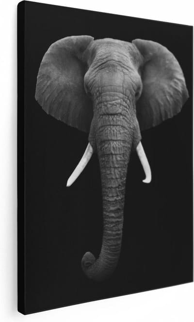 Artaza Canvas Schilderij Olifant Close-Up - 30x40 cm - Klein - Wanddecoratie Dierenkop - Muurdecoratie Afrika - Kamer Accessoires