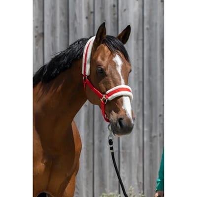 Synthetisch schapenvacht halster voor paarden Riding World
