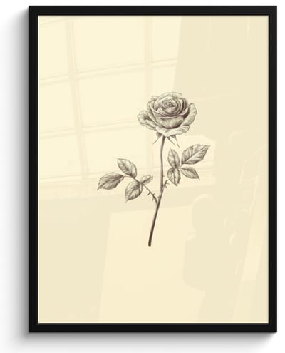 Poster in lijst - Fotolijst 50x70 cm - Posters - Illustratie - Zwart - Roos - Posterlijst zwart - Decoratie - Wanddecoratie woonkamer - Muurdecoratie slaapkamer