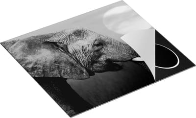 Chefcare Inductie Beschermer Olifantenkop bij Zonsondergang - Olifant - Zwart Wit - 60x50 cm - Afdekplaat Inductie - Kookplaat Beschermer - Inductie Mat