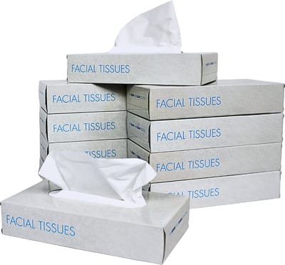 KURTT - 1000x Zakdoekjes (2-laags tissue), Voordeelverpakking, (10 x 100) papieren zakdoekjes, 20x20 cm, fsc en ecolabel - reinigingsdoekjes cellulose