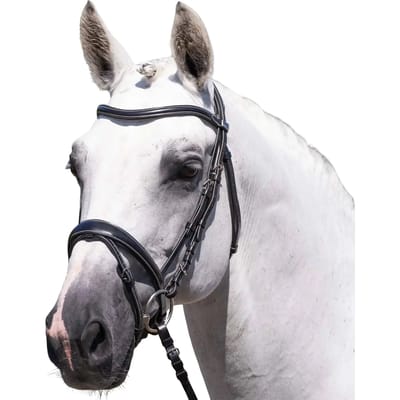 Teugels voor paard Premier Equine Cassano