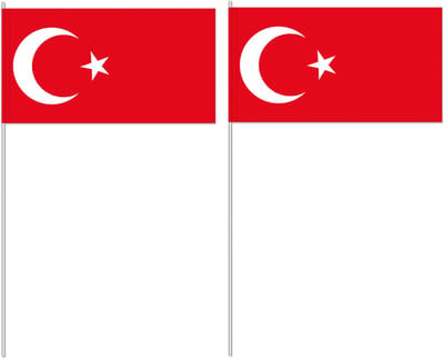 Zwaaivlaggetjes Turkije - 50x - papier - 12x24 cm - vlag op stokje - feest