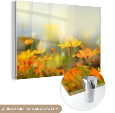 MuchoWow® Glasschilderij 120x80 cm - Schilderij acrylglas - Bloemen - Landschap - Geel - Foto op glas - Schilderijen