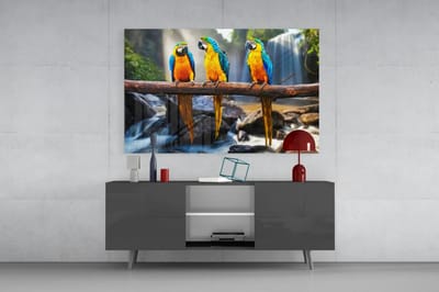 Glasschilderij Papegaaien bij Waterval – Kleurrijke Dieren Wanddecoratie – Gehard Glas 4 mm