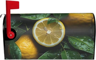 Brievenbus Cover - Postvak Decoratie - Buiten Versieren - Magnetisch & Waterdicht - 255 x 21 Inch - Zwart