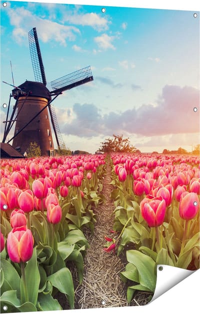 Gards Tuinposter Roze Tulpen Bloemenveld - met Windmolen - 90x120 cm - Tuindoek - Tuindecoratie - Wanddecoratie buiten - Tuinschilderij