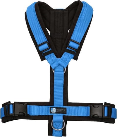 Annyx hondentuig speurtuig harnas-y-tuig maat M-zwart blauw-geschikt voor borstomtrek 62 tot 74cm