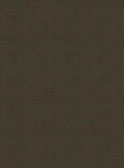 DutchLine - SPC Wandpaneel - Cemento Bruin Mat