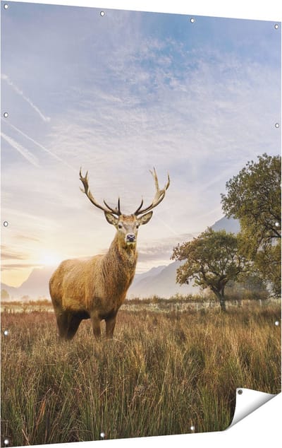 Gards Tuinposter Hert in het Landschap - 120x160 cm - Tuindoek - Tuindecoratie - Wanddecoratie buiten - Tuinschilderij