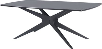 Eettafel 200x100 cm 8 plaatsen in houtlook zwart