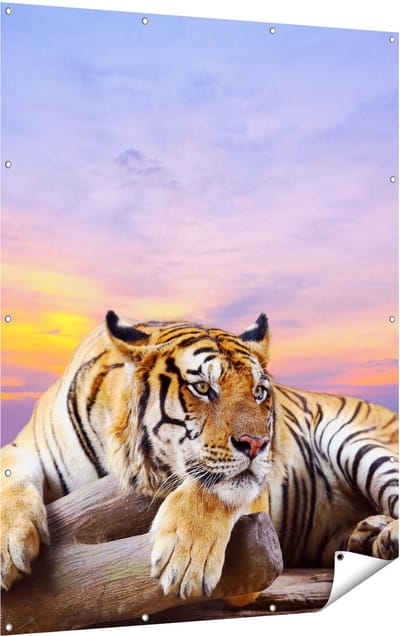 Gards Tuinposter Tijger tijdens Zonsondergang - 120x160 cm - Tuindoek - Tuindecoratie - Wanddecoratie buiten - Tuinschilderij