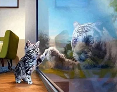 Diamond Painting Set 30x40cm - Poes achter spiegel met tijger - GD75798 - Full size ronde steentjes - Gratis verzonden