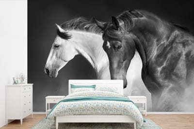 Behang - Fotobehang Paarden - Dieren - Zwart - Wit - Portret - Breedte 330 cm x hoogte 220 cm