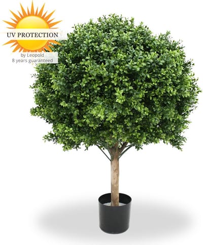 Grote Kunst Buxus Bol 80
