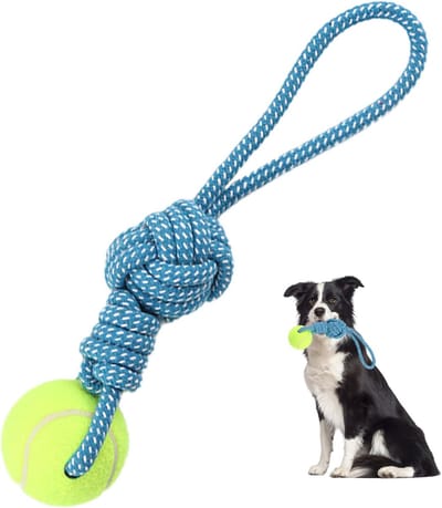 Hondenspeelgoed Touw - Interactief Kauwspeelgoed - Touwtrekken Buiten - Stevig Katoen Materiaal - 30 Cm Lengte - Blauw