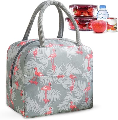 Thijox - Opvouwbare Koeltas en Lunchtas - Isolatietas Mini Koelbox voor Picknick, Kamperen, Reizen in de Open Lucht - Grijs, Compact en Handig