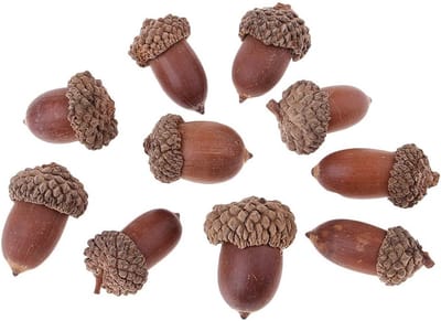 Famanu – Natuurlijke decoratieve eikels voor tafeldecoratie, kerstdecor en doe-het-zelf woonaccessoires