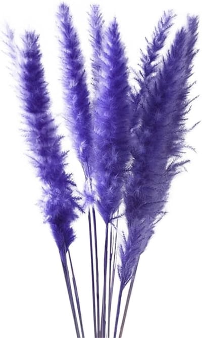 Droog Pampasgras - Pluizig Riet - Decoratie Boeket - Synthetische Vezels - Ca. Lengte - Paars