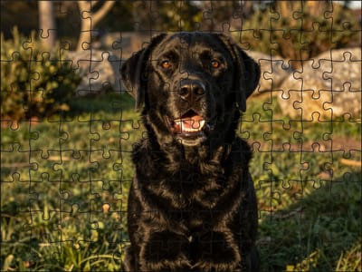 Puzzel Zwarte Labrador Retriever | 120 stukjes | Dierenpuzzel | Hondenpuzzel