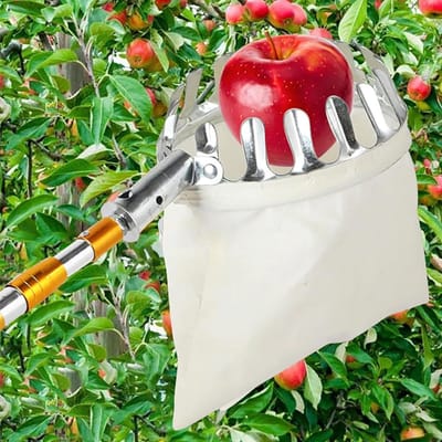 Fruitplukker Telescopisch - Plukstok Fruit - Fruit Oogsten - Dubbele Vergrendeling - 10 meter - Zilver