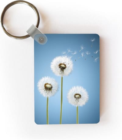 Sleutelhanger - Illustratie - Paardenbloem - Zaden - Uitdeelcadeautjes - Plastic