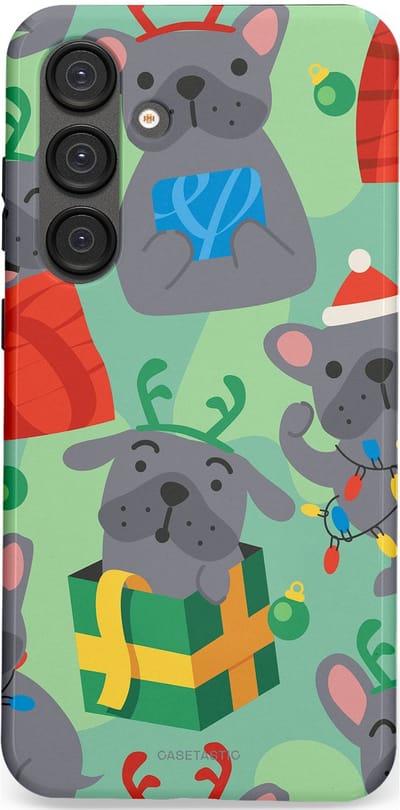 Casetastic hoesje geschikt voor Samsung Galaxy S25 Plus - Dubbellaagse bescherming - Hondje als Kerstcadeau - Fashion Case - Mintgroen Grijs Rood