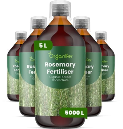 Vloeibare Meststof Voor Rozemarijn 5X1 L Voor 5000 L - Npk 2-1-8 - Ondersteunt Compacte - Aromatische Groei Bij Rozemarijn - Geschikt Voor Tuinborders - Potten En Verhoogde Plantenbedden - Verbetert De Concentratie Van Essentiële Oliën - Organifer