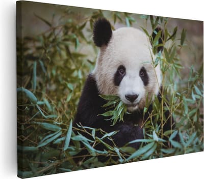 Artaza Canvas Schilderij Dieren - 30x20 cm - Klein - Wanddecoratie Panda - Muurdecoratie Jungle - Kamer Accessoires