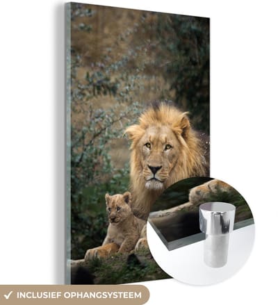 MuchoWow® Glasschilderij 40x60 cm - Schilderij acrylglas - Leeuwen - Roofdieren - Portret - Foto op glas - Schilderijen