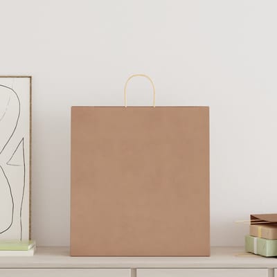 vidaXL - Papieren - zakken - 250 - st - met - hengsels - 45x17x48 - cm - bruin