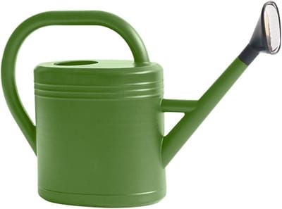 Gieter 3 Liter - Plantenbewateraar Tuin - Binnen en Buiten - Afneembare Lange Tuit