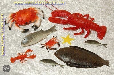 Zeedieren assortiment 2 - 9 stuks