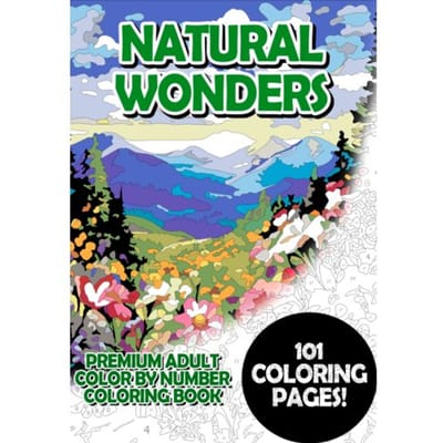 Space Dreams - Premium Adult Color By Number Coloring Book - Timo Korbee
