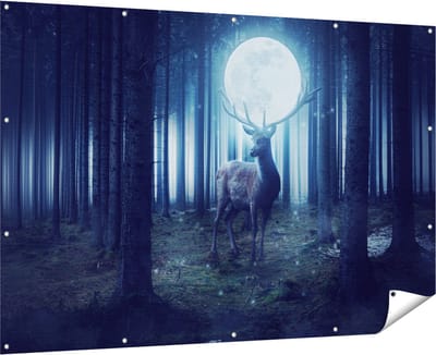 Gards Tuinposter Hert in het Bos tijdens Volle Maan - 180x120 cm - Tuindoek - Tuindecoratie - Wanddecoratie buiten - Tuinschilderij
