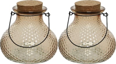 Decoris wespenvanger/wespenval - set 2x - glas - lichtbruin - D14 x H13 cm