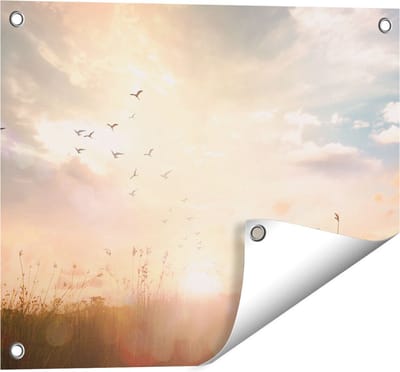 Gards Tuinposter Silhouet Vogels tijdens Zonsopkomst - 50x40 cm - Tuindoek - Tuindecoratie - Wanddecoratie buiten - Tuinschilderij