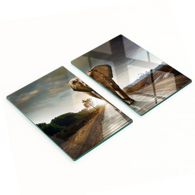 Multifunctionele decoratieve keukenplanken van gehard glas in de vorm van een olifant, 2x40x52 cm