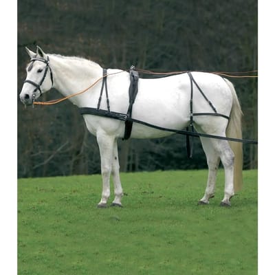 Zadelpad voor paard Star