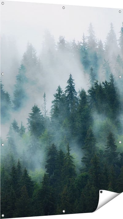 Gards Tuinposter Bos met Bomen in de Mist - 100x150 cm - Tuindoek - Tuindecoratie - Wanddecoratie buiten - Tuinschilderij