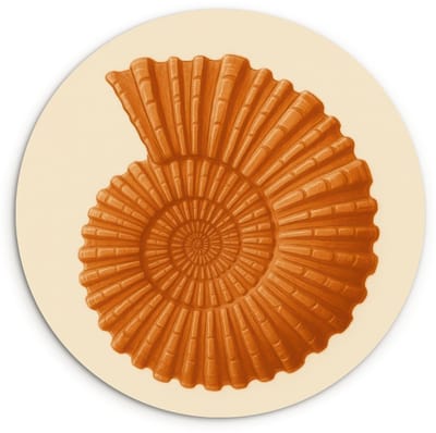 WallCircle® Wandcirkel 120x120 cm - Muurcirkel Schelp - Oranje - Ribbels - Muurdecoratie woonkamer - Wanddecoratie slaapkamer - Kamer decoratie accessoires - Ronde schilderijen XXL