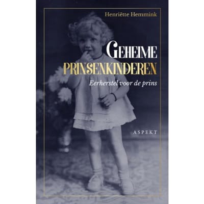 Geheime Prinsenkinderen - Henriëtte Hemmink