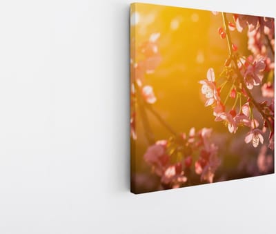 Saammp Canvas Schilderij - Roze Bloemen in zonsondergang - Natuur - 20x20 - Foto op canvas - Wanddecoratie - Muurdecoratie Woonkamer - Kantoor Decoratie