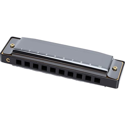 10 Gaten C Toets Mondharmonica Blues Draagbare Mondharmonica Muziekinstrument voor Beginners Volwassenen Kinderen Zwart zwart