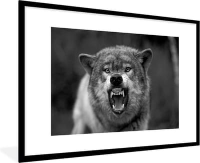 Fotolijst incl. Poster Zwart Wit- Boze wolf - zwart wit - 120x80 cm - Posterlijst