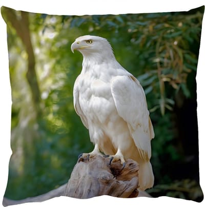 Sierkussens - Kussentjes Woonkamer - 50x50 cm - Arend - Hout - Wit - Planten