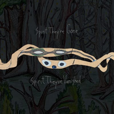 Animal Collective - Spirit They're Gone, Spirit They've Vanished (2Cd)