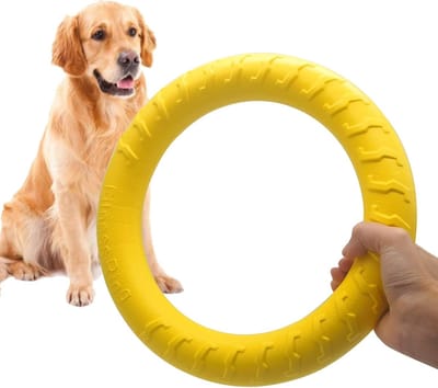 Daity 1 stuk - XL Onverwoestbaar Hondenspeelgoed, Kauwspeelgoed voor Fanatieke Kauwers, Werpschijven voor Middelgrote en Grote Rassen. Drijvende Speelringen voor Honden – Om te gooien, vangen en grijpen. (12 inch)
